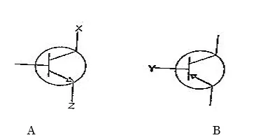 BECE INTEGRATED SCIENCE 2024 MOCK PRACTICAL COMPULSORY QUESTION