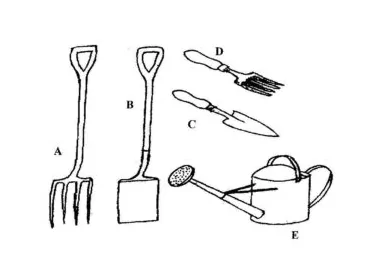 BECE INTEGRATED SCIENCE 2024 MOCK PRACTICAL COMPULSORY QUESTION